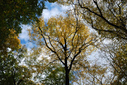 DSC_0523.jpg
