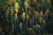 DSC_1198.jpg