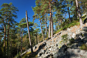 DSC_1355.jpg