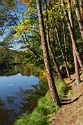 DSC_2205.jpg