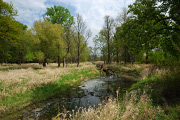 DSC_2614.jpg