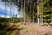 DSC_2646.jpg