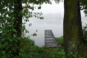 DSC_2808.jpg