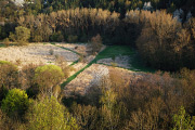 DSC_2971.jpg