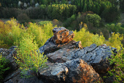 DSC_3124.jpg