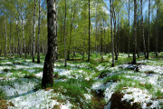 DSC_3248.jpg