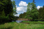 DSC_3780.jpg