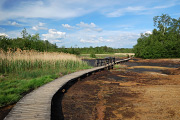 DSC_3826.jpg