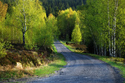 DSC_4790.jpg