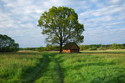 DSC_5127.jpg