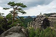 DSC_4053.jpg