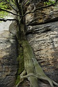 DSC_4307.jpg