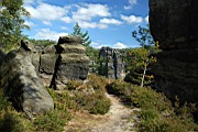 DSC_6110.jpg