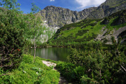 DSC_2976.jpg