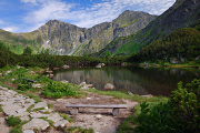 DSC_2995.jpg