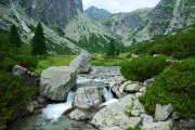 DSC_8107a.jpg